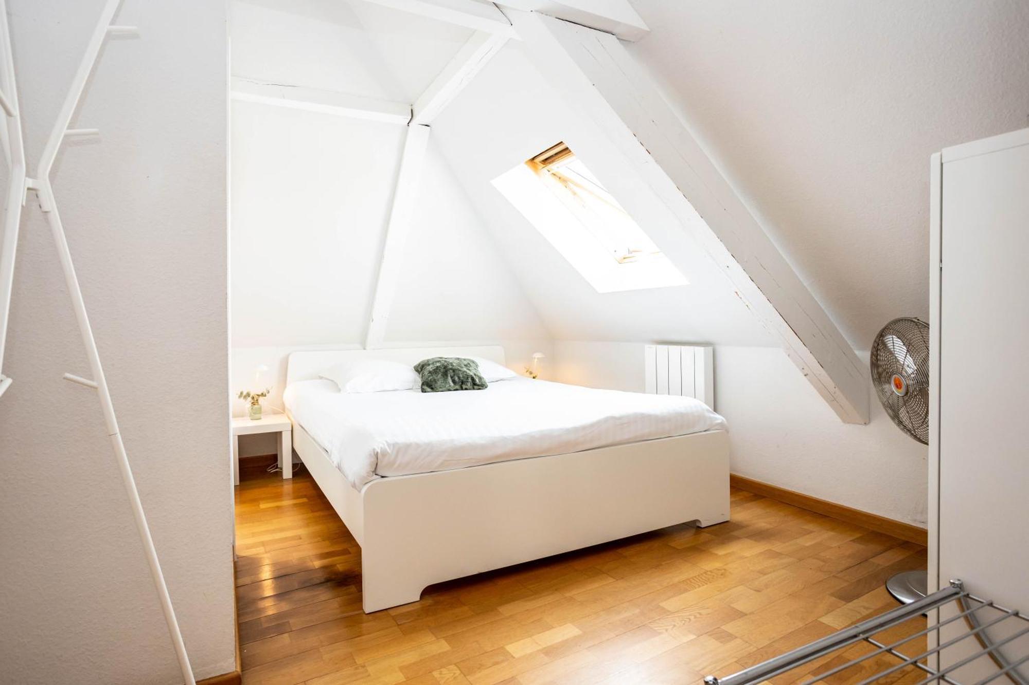 Le Balcon Fleuri Centre Robertsau Tram Jardiniers Apartment